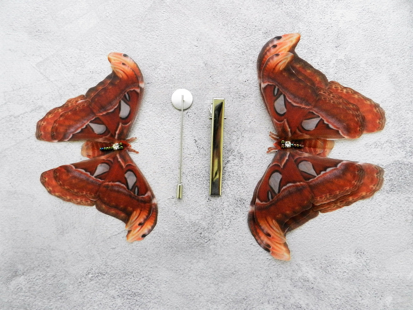 Silk Atlas Moth extra large hair clips or lapel pins