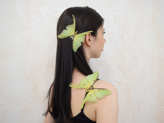 Handmade olive moth hair accessory with translucent silk wings and crystal details