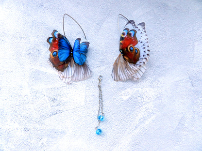 Silk Bright butterflies wings drop earrings