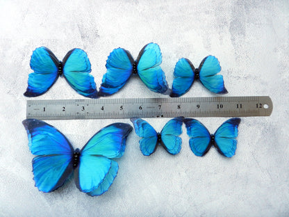 Silk blue butterflies extra large dress decoration applique set of 6 pcs