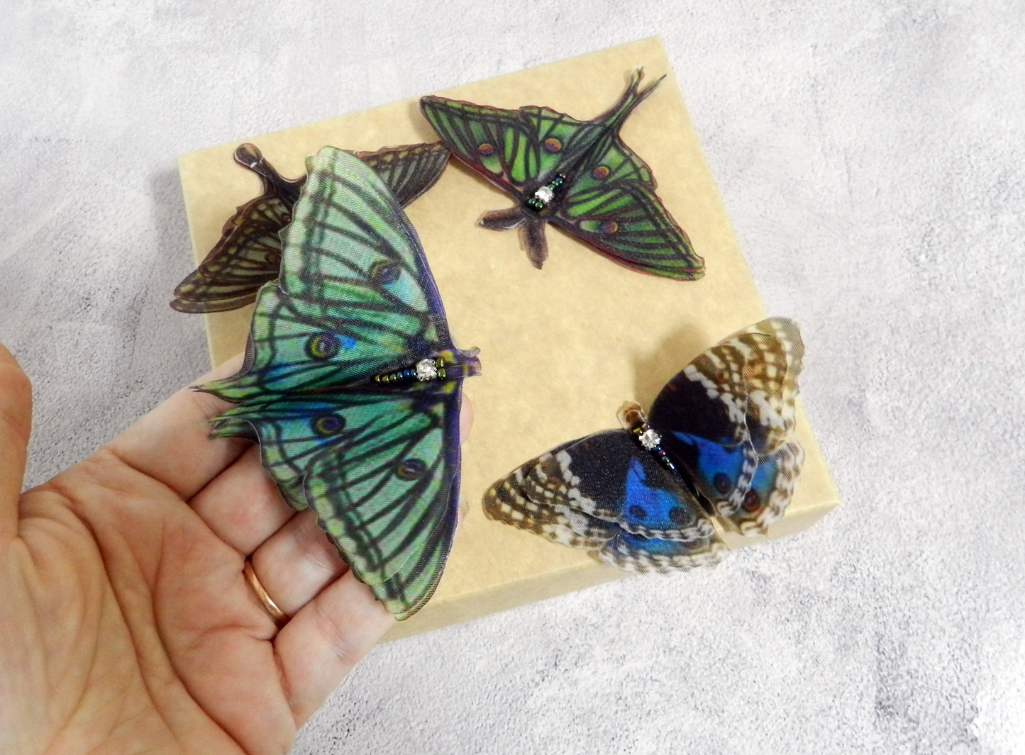 Silk Graesilla isabella Spanish luna moth hair clips