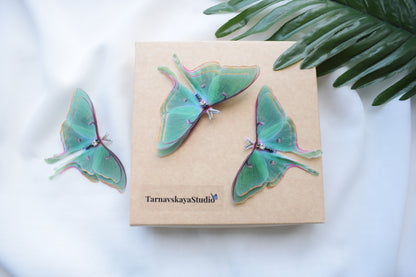 Silk luna moth hair clips with 3d wings