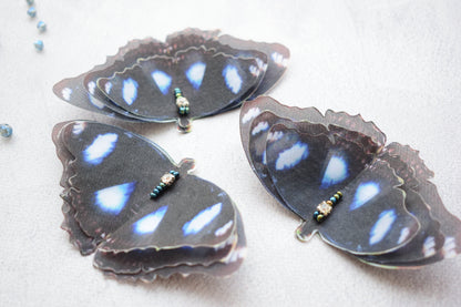 Blue Moon Hypolimnas Bolina Butterfly Silk Hair Clips