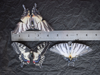 Silk Swallowtail butterflies hair clip or brooch moving wings