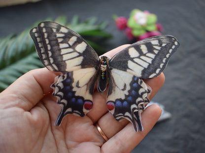 Silk Swallowtail butterflies hair clip or brooch moving wings