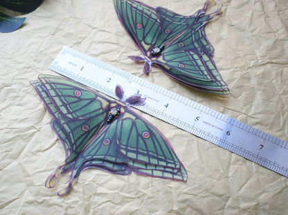 Spanish Silk Luna Moth butterfly hair clips or brooch