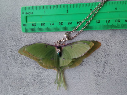 Silk luna moth pendant necklace