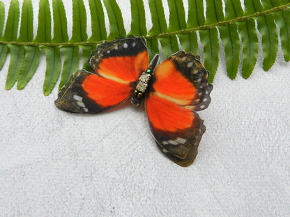 Peacock eye and Orange Forester silk butterflies hair clips