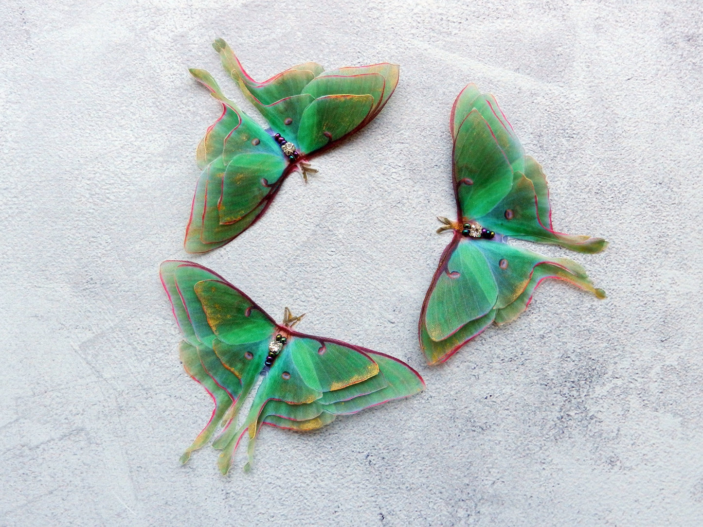 Silk luna moth hair clips with 3d wings