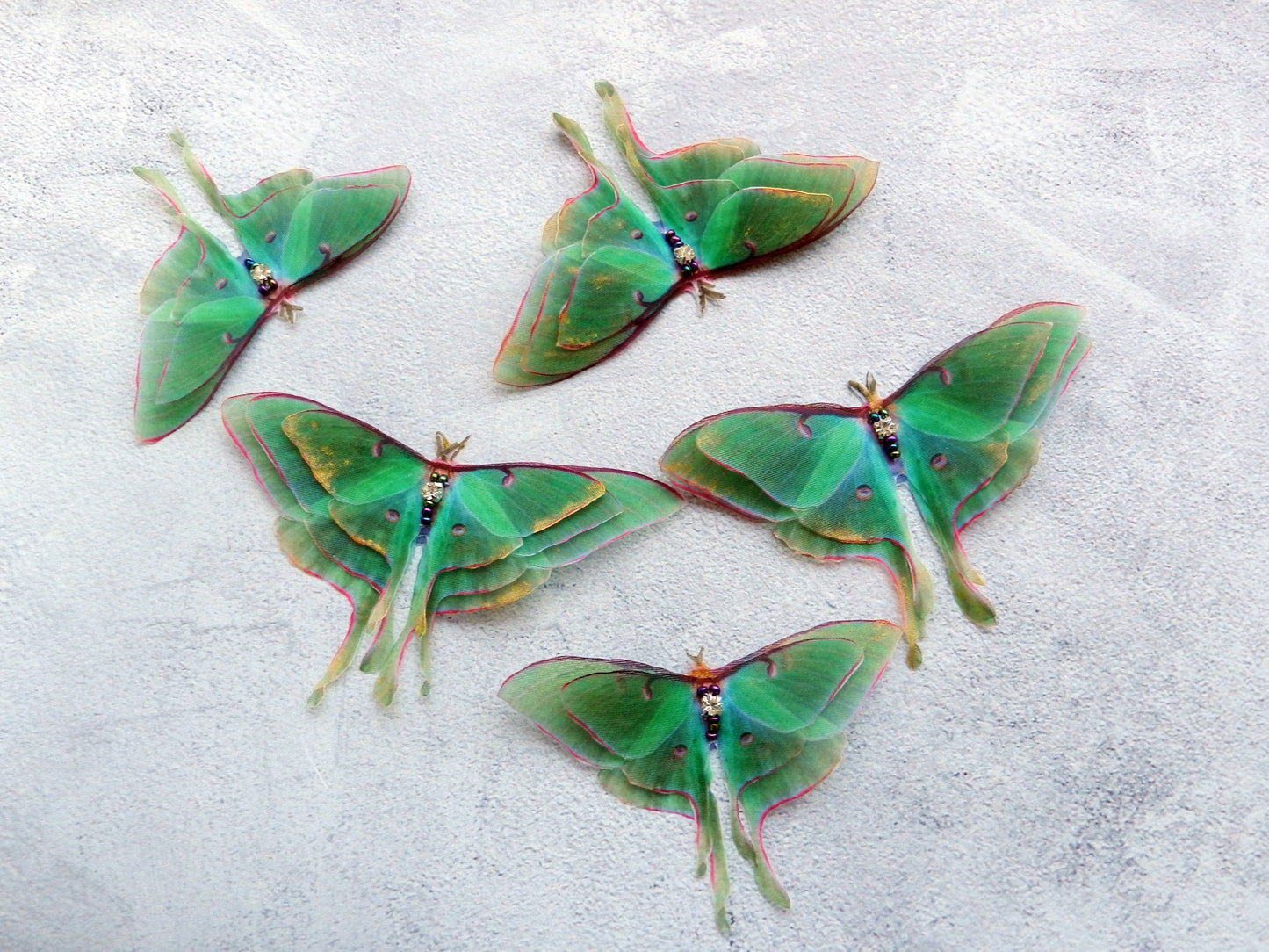 Silk luna moth hair clips with 3d wings