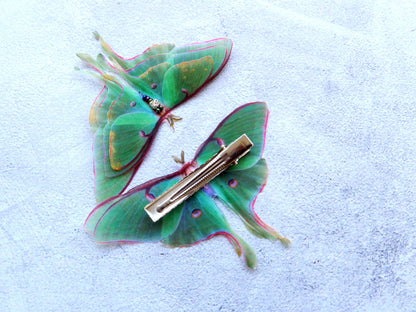 Silk luna moth hair clips with 3d wings