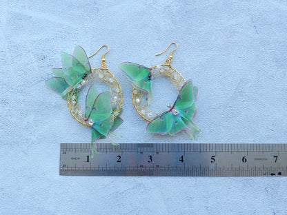 una moth butterfly hoop earrings with crystals