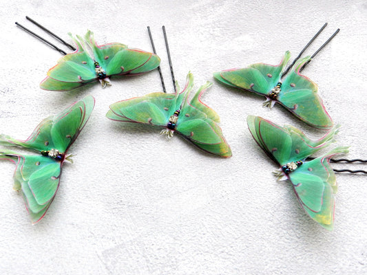 Silk luna moth butterflies hair pins