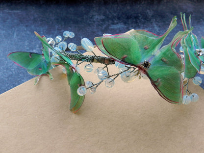 Luna moth moonstone crystals and gold wire headband