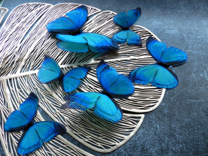 Silk blue butterflies extra large dress decoration applique set of 6 pcs