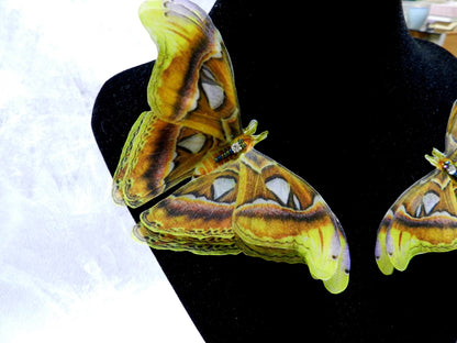 Silk Attacus Atlas Moth extra large hair clips or lapel pins