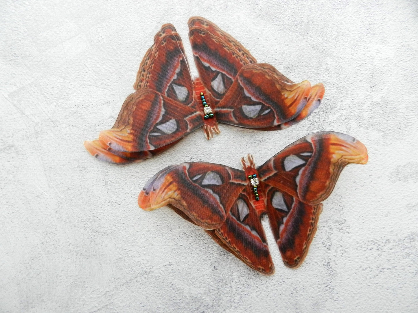 Silk Attacus Atlas Moth extra large hair clips or brooch