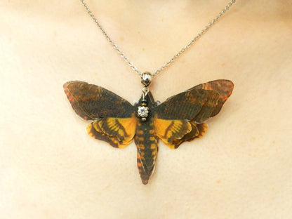 Silk death head moth pendant necklace