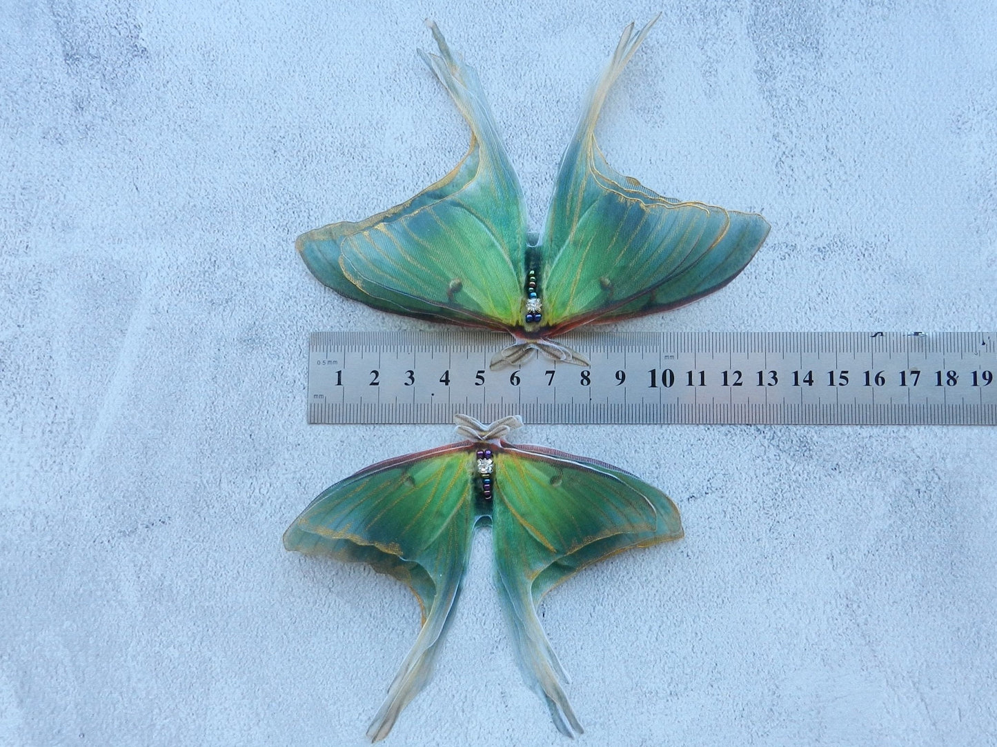 Luna moth silk butterfly wings drop and dangle earrings