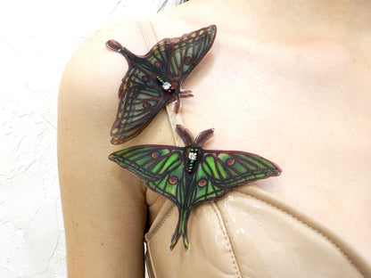 Silk Graesilla isabella Spanish luna moth hair clips