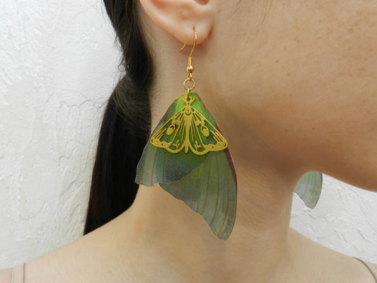 Luna moth silk butterfly wings drop and dangle earrings