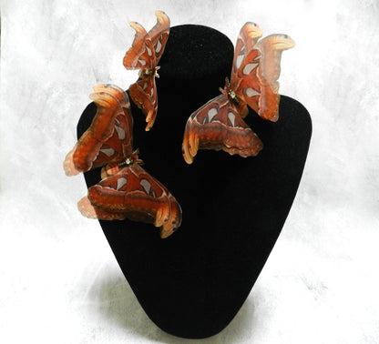 Silk Atlas Moth extra large hair clips or lapel pins 