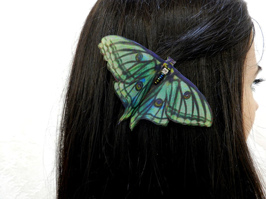 Silk Graesilla isabella Spanish luna moth hair clips