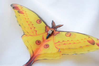 Silk Comet moth brooch or hair clips