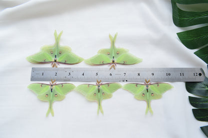 Silk luna moth hair clips or pins