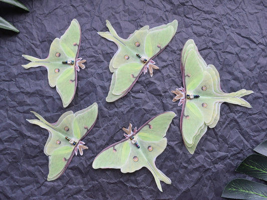 Silk olive luna moth hair clips or pins set of 5 pcs