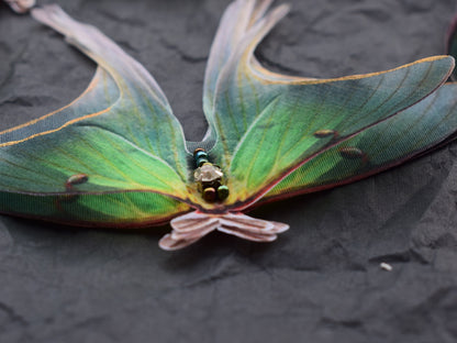 Silk Luna Moth Hair Clip or Brooch