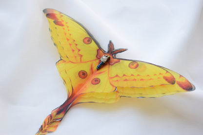 Silk Comet moth brooch or hair clips