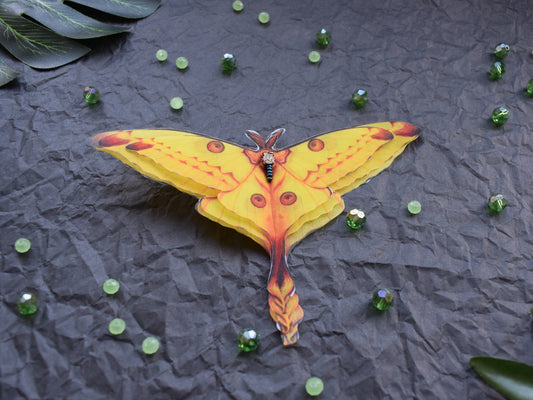 Silk Comet moth brooch or hair clips