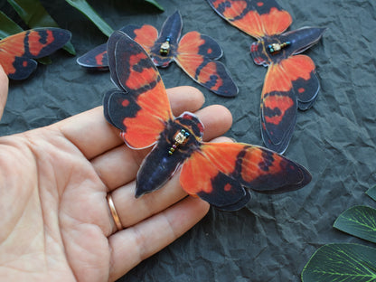 Silk brown cicada hair clips, pins or brooch