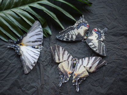 Silk Swallowtail butterflies hair clip or brooch moving wings