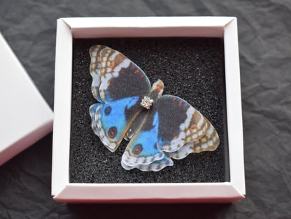 Junonia orithya silk butterfly ring adjustable size