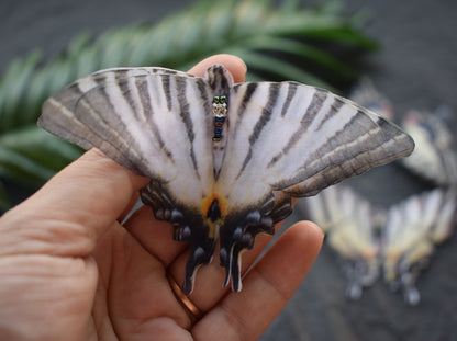 Silk Swallowtail butterflies hair clip or brooch moving wings