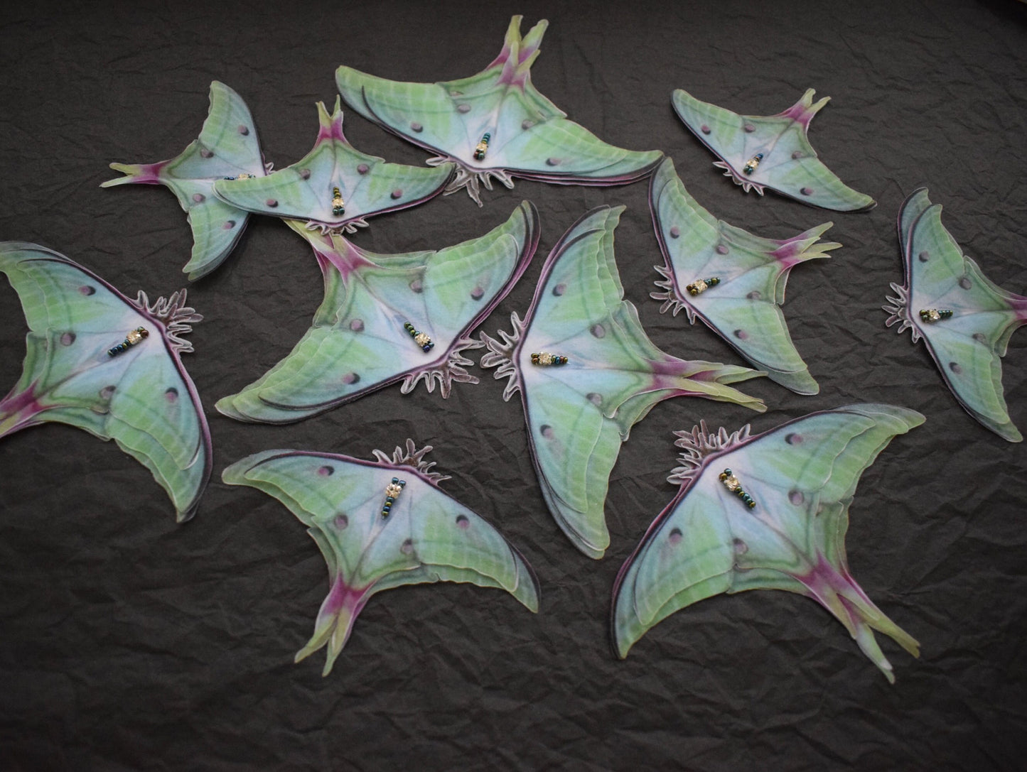 Tender silk luna moth hair clips with 3d moving wings