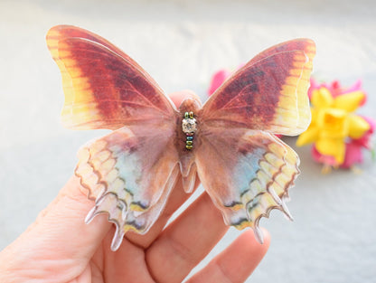 Butterfly Earrings and Hair Clip Set