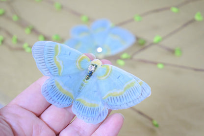 Silk Geometrid Moth dusty green butterfly hair clips or brooch