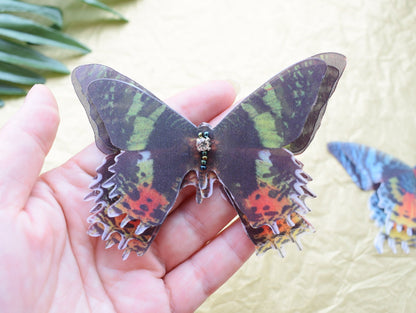 Silk Madagascar Sunset Moth hair clips or brooch