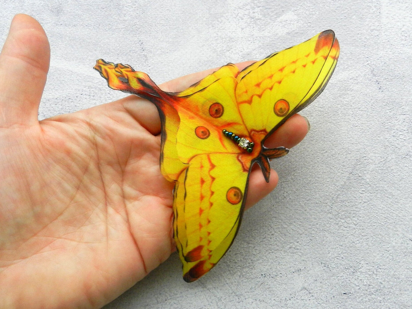 Silk Comet moth brooch or hair clips