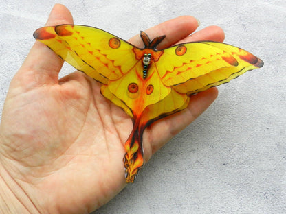 Silk Comet moth brooch or hair clips