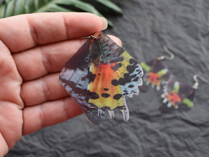 Silk Madagascar Sunset Moth earrings