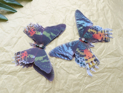 Silk Madagascar Sunset Moth hair clips or brooch