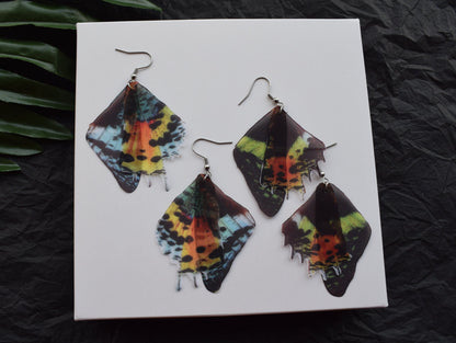 Silk Madagascar Sunset Moth earrings