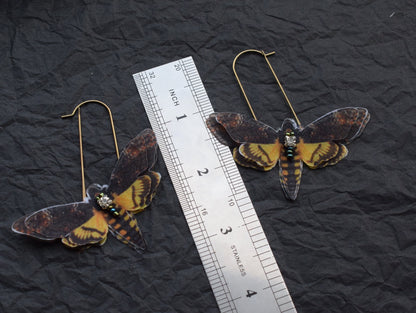 Hawk Moth silk butterfly drop earrings - Death head moth insect jewelry