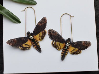 Hawk Moth silk butterfly drop earrings - Death head moth insect jewelry