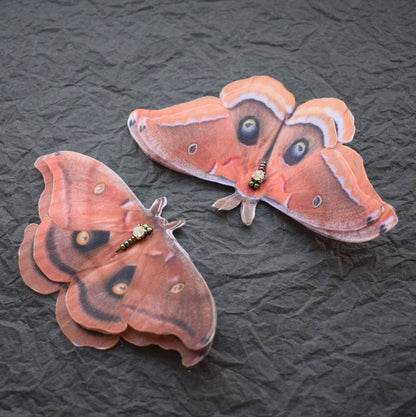 Silk Polyphemus Moth brown butterfly hair clips or brooch