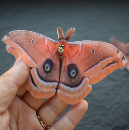 Silk Polyphemus Moth brown butterfly hair clips or brooch